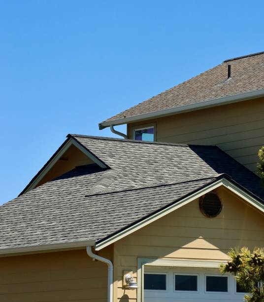 Best Skylight Installation and Repair  in Okolona, MS